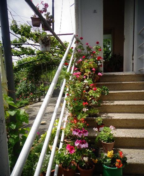 Homestay At Nana's *